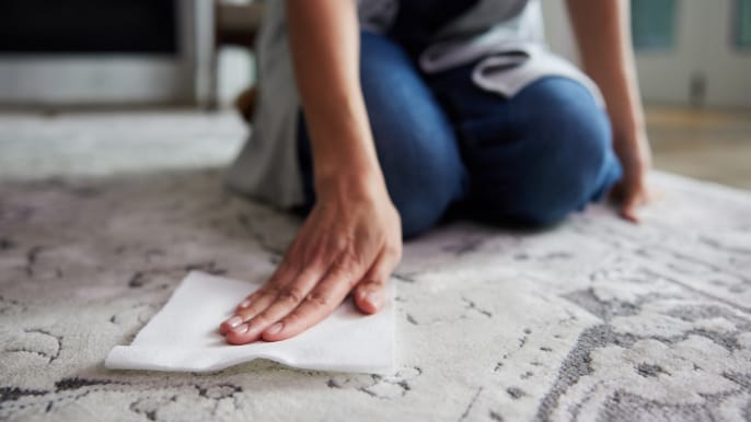 remove carpet stains by vivatowels